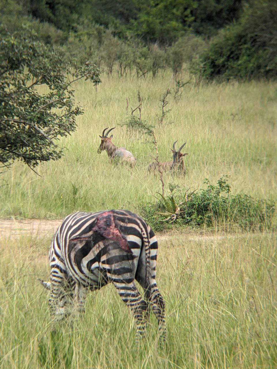 Boat on Lake Kivu at sunset