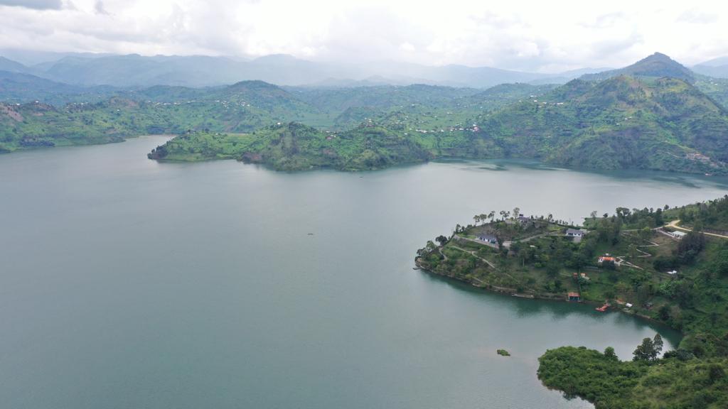 Chimp Trekking in Nyungwe