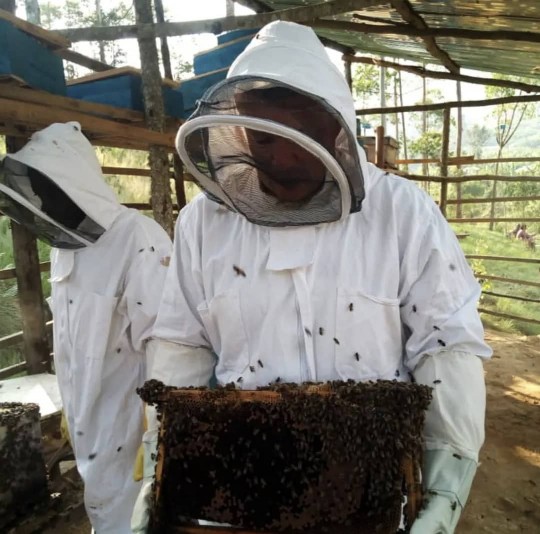 BEE-KEEPING EXPERIENCE