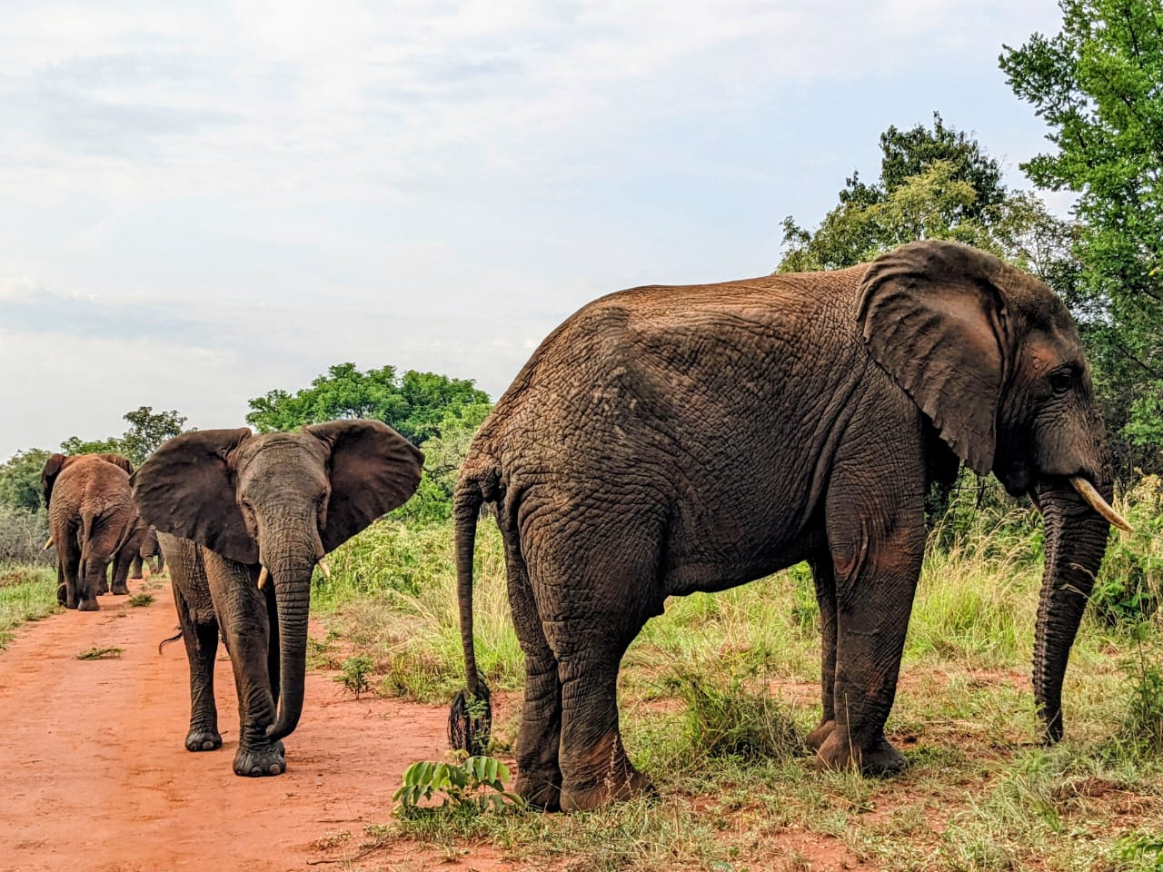2 days in Akagera National Park